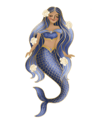 Categoria 2