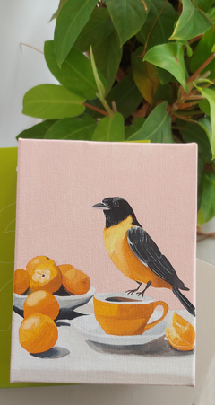 Clementine bird na internet