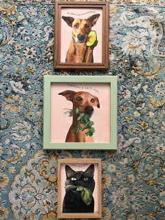 Caramelo da frutinha na internet