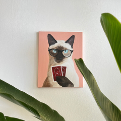O gatinho e o carteado na internet