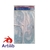 Letrografos y pistolete set x3 - Artilib Distribuidora