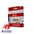 Lapiz corto Filgo x12