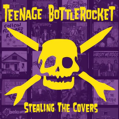TEENAGE BOTTLEROCKET "STEALING THE COVERS" - LP