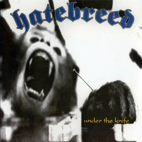 HATEBREED "UNDER THE KNIFE" - 7´