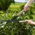 Tijera recortasetos Gardena NatureCut 12300 - comprar online