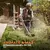 Desmalezadora semi profesional Stihl FS 120 1,3 kW en internet