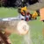 Motosierra Stihl MS 180 C-BE 2.0 CV 40 cm arranque fácil / tensor rápido - comprar online