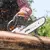 Motosierra potente y compacta de 3 CV Stihl MS 251 C-BE en internet