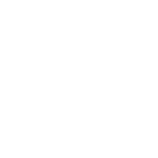 Magno Company