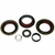 KIT REPARACION RETEN Y PISTA PIÑON DODGE GM 00-14 EXPRESS VAN 96-14 GM8.6 26064028 26064029