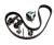 KIT BANDA TIEMPO FORD FIESTA 11-18 IKON 1.6L 12-15 FIGO 1.5L 16-18 4C (117D)