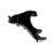 HORQUILLA INFERIOR DER NISSAN X-TERRA 98-04 FRONTIER V6 98-04 4X4