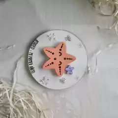 Souvenir Animalitos Marinos - Estrellita