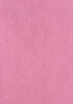 Pink Dream - comprar online