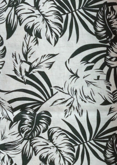 Costela de adão (verde)