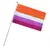 Bandeira de mão Assexual, Bandeira do orgulho da Filadélfia, Bissexual, LGBTQIAPN+, Gênero-fluido, Lésbica, Nova Bandeir