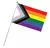 Bandeira de mão Assexual, Bandeira do orgulho da Filadélfia, Bissexual, LGBTQIAPN+, Gênero-fluido, Lésbica, Nova Bandeir - comprar online