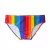 Sunga Pride Brasil Arco-Íris Vertical