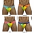 Imagem do Sunga Cavada Pride Brasil