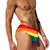 Sunga Pride Brasil Arco-Íris Horizontal