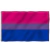 Bandeira Bi - comprar online