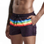 Short Pride Brasil na internet