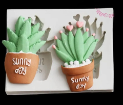 Molde cactus x 2 grande