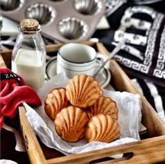 Molde teflon madeleine