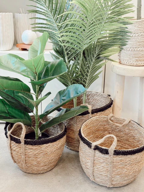 Canasto Portamaceta Flecos Negros - comprar online