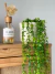 Planta Colgante Verde 85cm - Tienda Baris