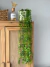 Planta Colgante Verde 85cm - comprar online