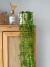 Planta Colgante Verde 85cm - tienda online