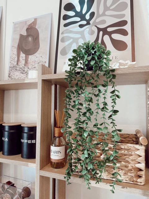 Planta Colgante Verde 60 cm - comprar online