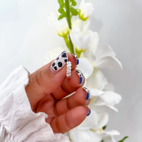 Argolla Brina (unidad)