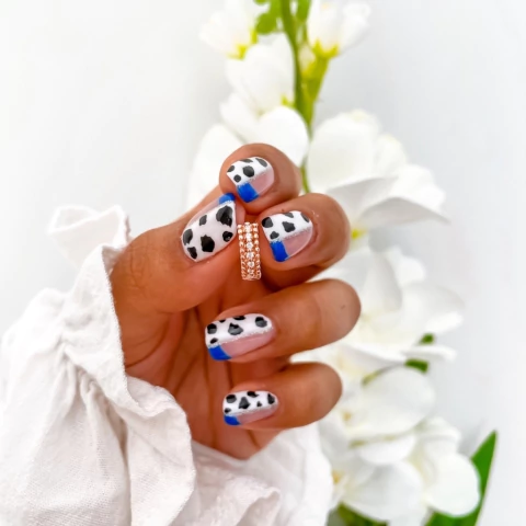 Argollas Agatha (unidad)