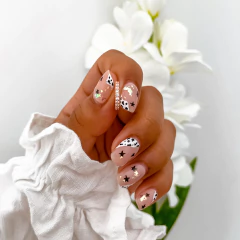 Argolla Viena (unidad)