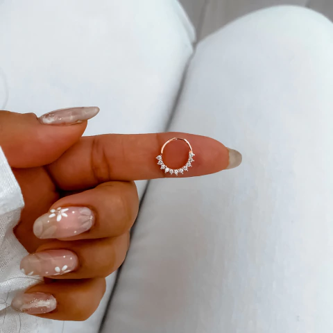 Argolla Franca (unidad)