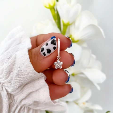 Argolla Emilia (unidad)