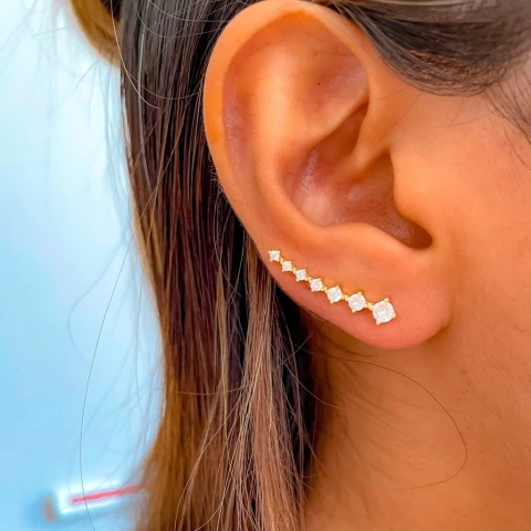 Trepador Verona (unidad)