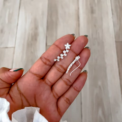 Trepador Génova (unidad) en internet