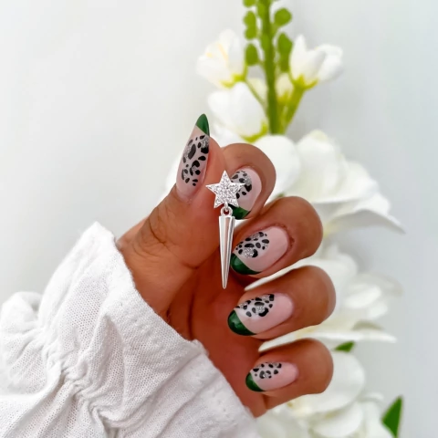 Pasantes Nisha (unidad)