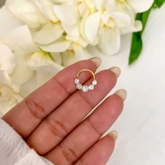 Argolla Nia (unidad)