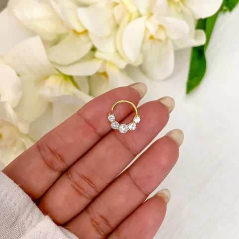 Argolla Nia (unidad)