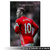 Wayne Rooney - Cuadro Holofoil