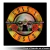 Guns N' Roses - Cuadro Holofoil