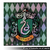 Logo de Slytherin Acuadrille - Harry Potter - Cuadro Holofoil