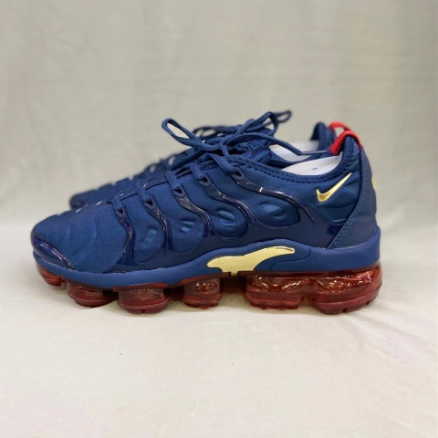 NIKE VAPOR MAX PLUS