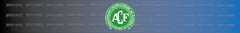 Banner da categoria Chapecoense