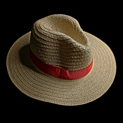 Image of Sombrero de dama Panamá