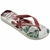 Chinelo Havaianas Top Times Fluminense Esta 2024 41484188289